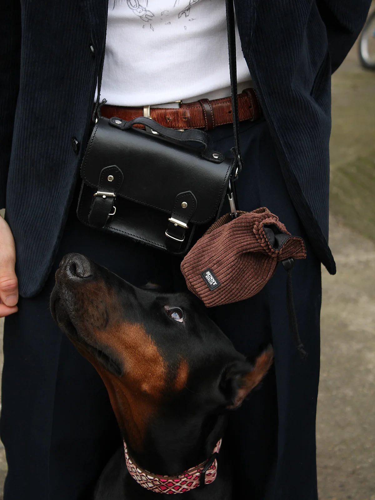 ACCESSOIRES FÜR KLEINE & GROSSE HUNDE