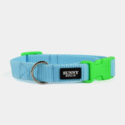 Hundehalsband Basic – Hellblau – Schwarz