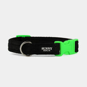 Hundehalsband Basic – Schwarz – Neonpink