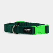 Hundehalsband Basic – Grün – Neonpink