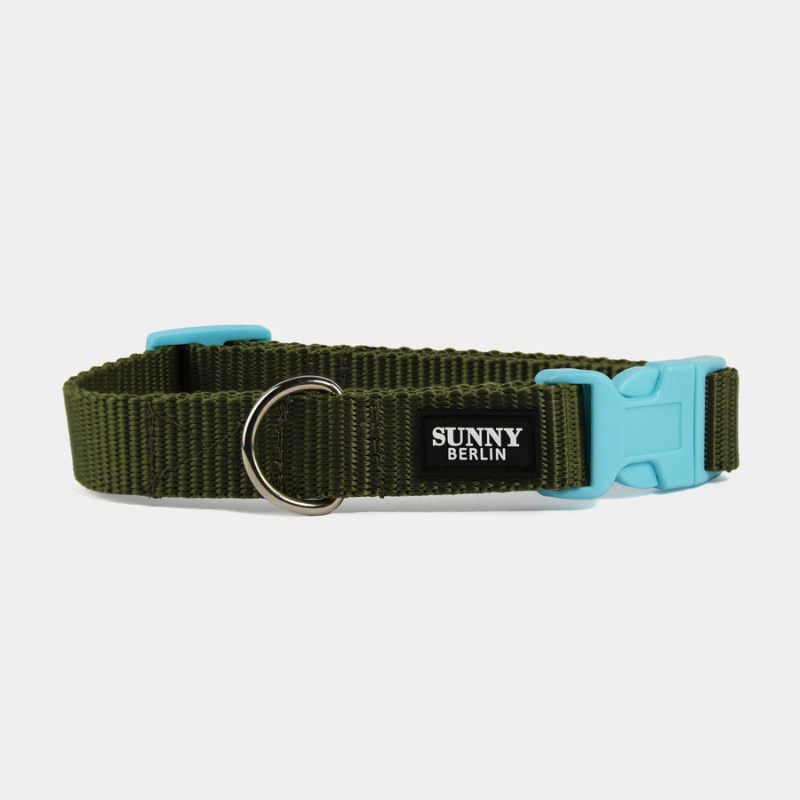 Hundehalsband Basic – Olive – Neonpink