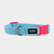 Hundehalsband Basic – Hellblau – Neonpink