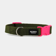 Hundehalsband Basic – Olive – Hellblau