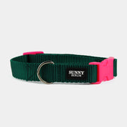 Hundehalsband Basic – Grün – Neonpink