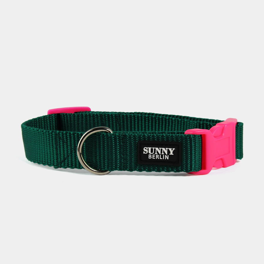 Hundehalsband Basic – Grün – Neonpink
