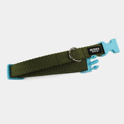 Hundehalsband Basic – Olive – Hellblau