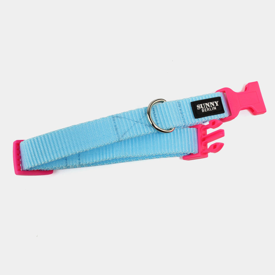Hundehalsband Basic – Hellblau – Neonpink