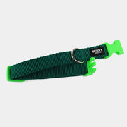 Hundehalsband Basic – Grün – Neonpink