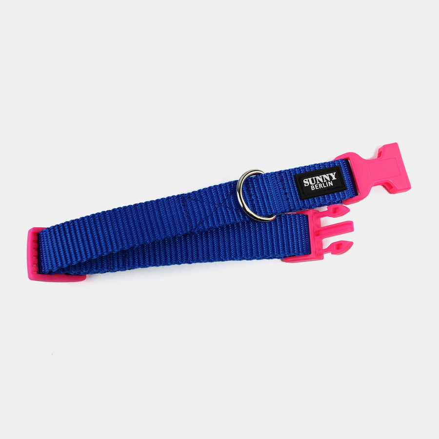 Hundehalsband Basic – Blau – Hellblau