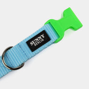 Hundehalsband Basic – Hellblau – Neongrün