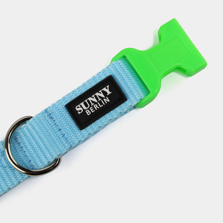 Hundehalsband Basic – Hellblau – Neongrün