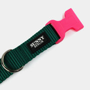 Hundehalsband Basic – Grün – Neonpink