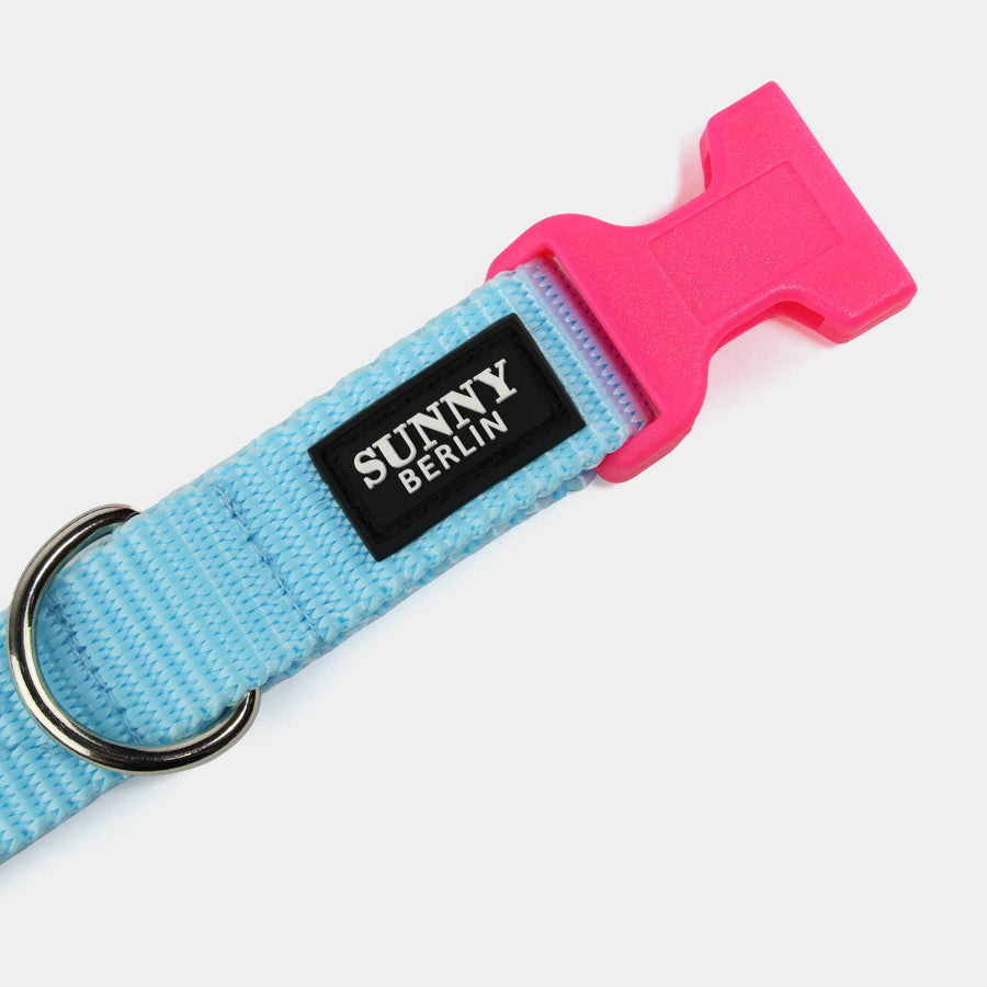 Hundehalsband Basic – Hellblau – Neonpink