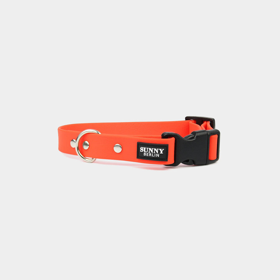 Veganes Hundehalsband in orange mit Schließe aus Kunststoff in schwarz von Sunny Berlin. Metallteile in silber