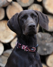 Dog Collar Boho – Paisley Pattern – Joy & Ted