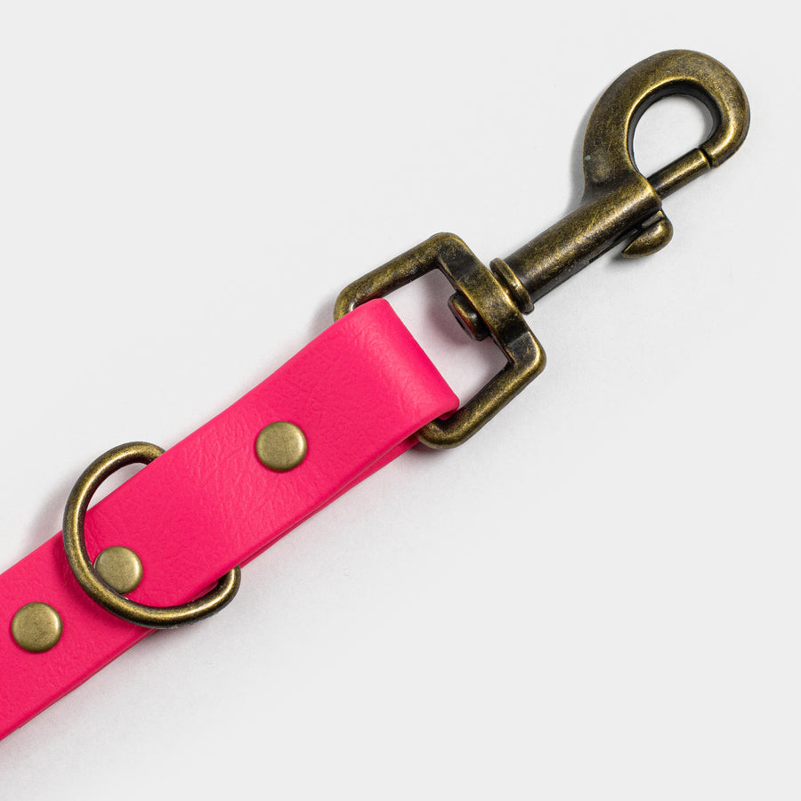 Pinkfarbene Hundeleine mit antikem Karabiner