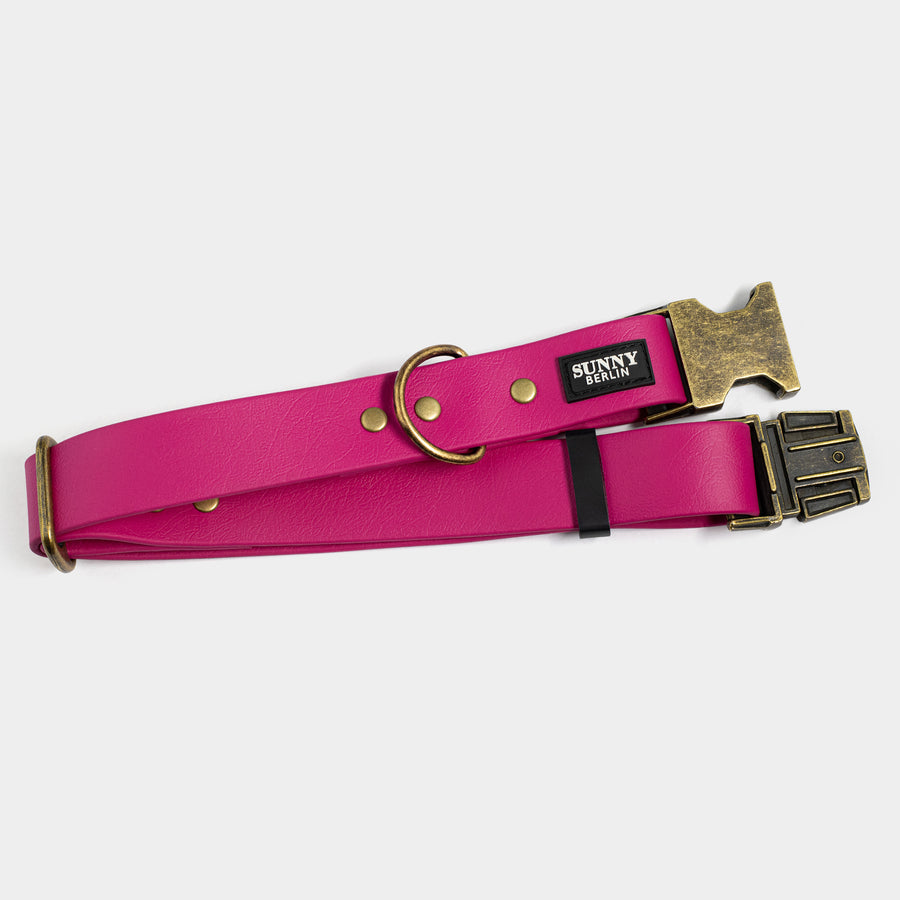 Hundehalsband aus Biothane in beere im Vintage Look SUNNY BERLIN