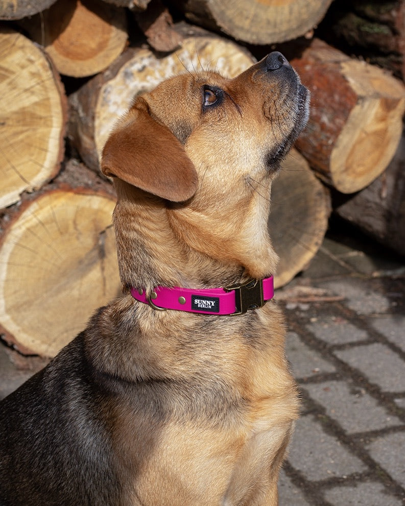 Dog Collar BioThane® – Berry