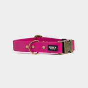 Hundehalsband aus Biothane in beere im Vintage Look SUNNY BERLIN