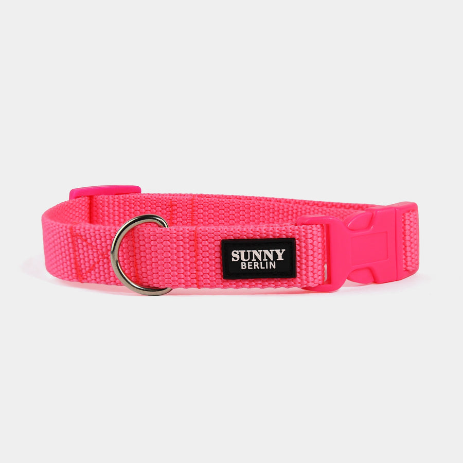 Hundehalsband Basic – Pink – Hellblau