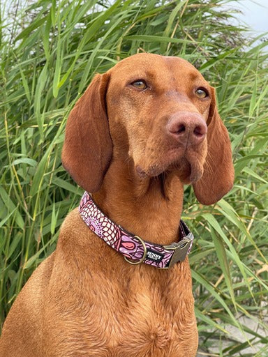 Hundehalsband von Sunny Berlin mit traditionell afrikanischem Muster in türkis, braun, weiß und rosa von. Die Metallteile sind in Antik Optik