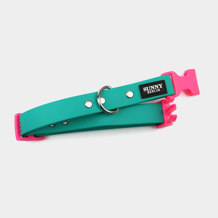 Veganes Hundehalsband in petrol mit  Kunststoffschließe in neonpink und silbernen Metallteilen von SUNNY BERLIN