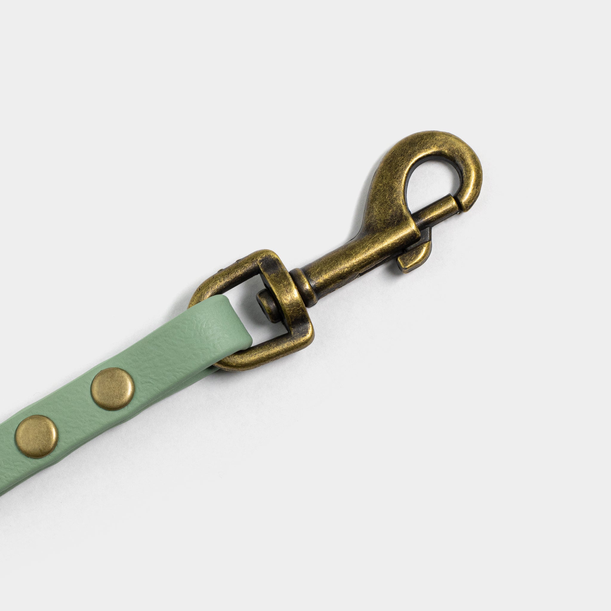 Karabiner an Biothane Hundeleine in Salbei von SUNNY BERLIN