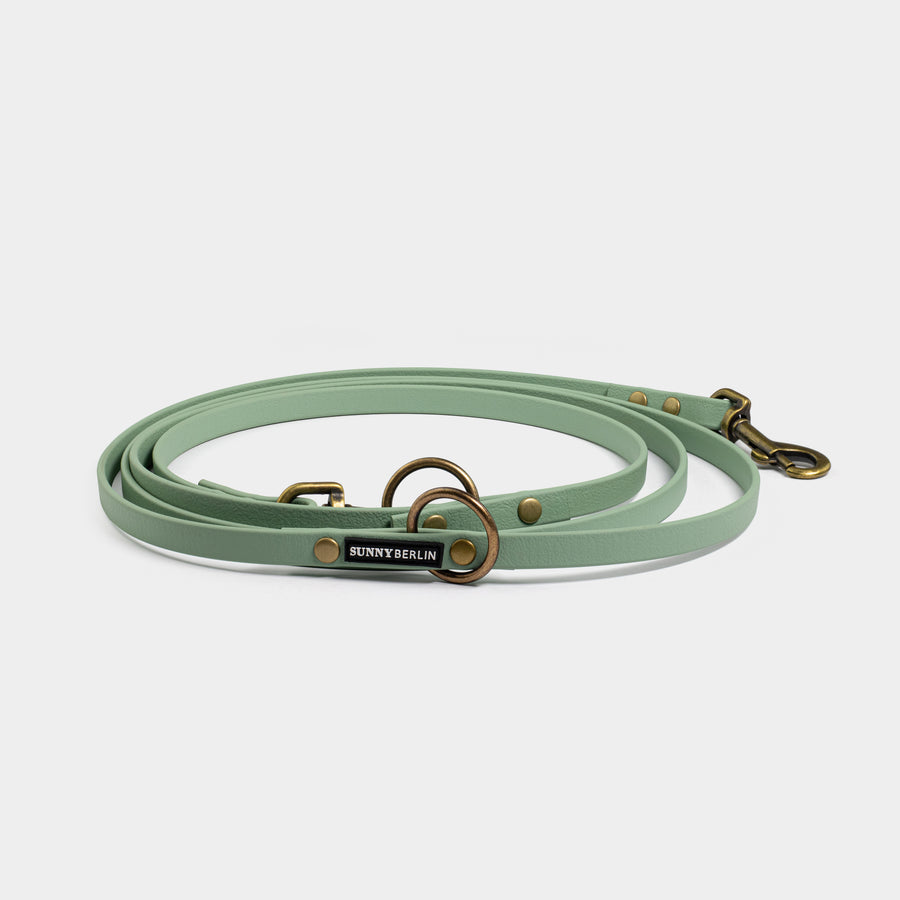Schmale Hundeleine aus Biothane in salbeifarben von SUNNY BERLIN. Metallteile im Vintage Look
