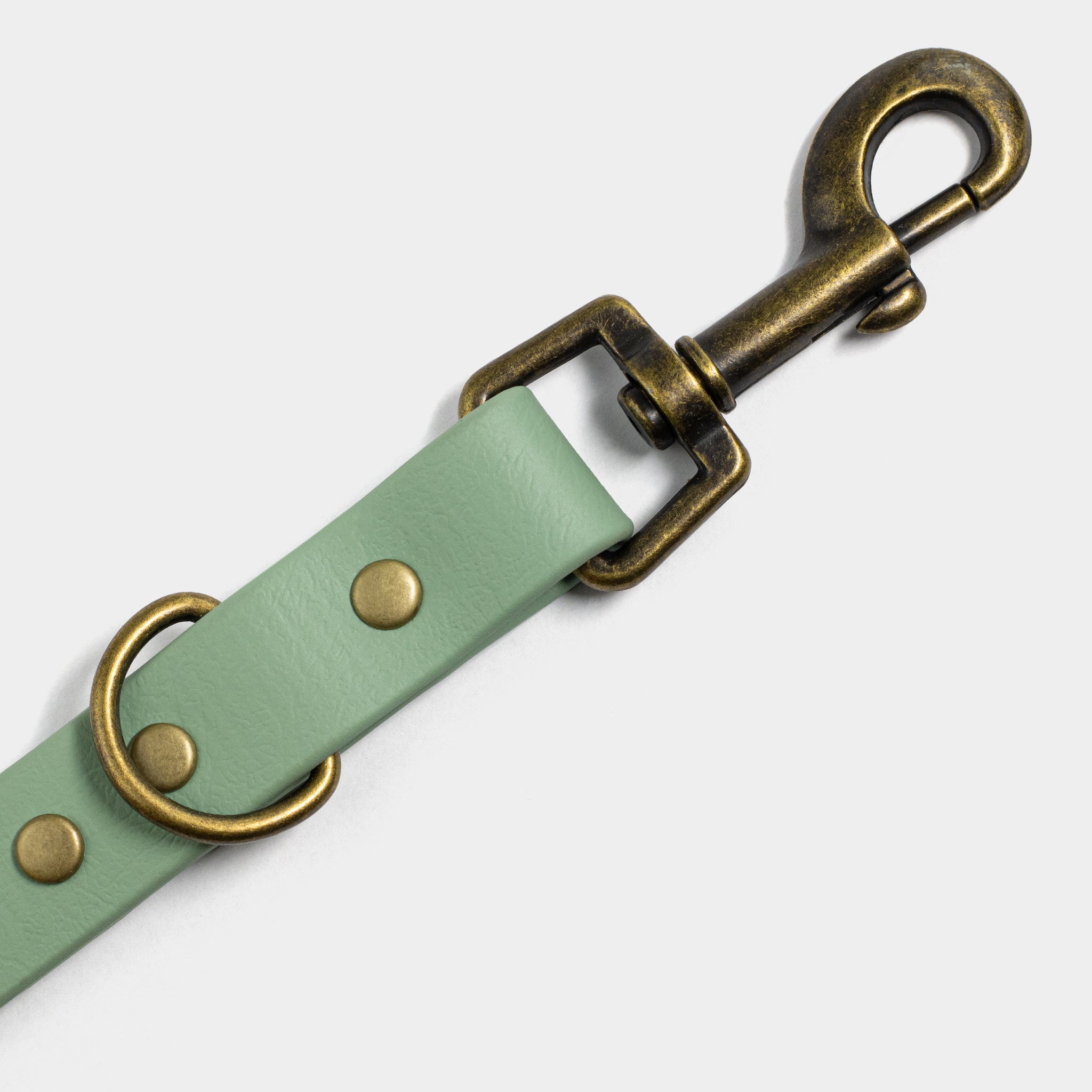 Karabiner an Biothane Hundeleine in Salbei von SUNNY BERLIN im Vintage Look