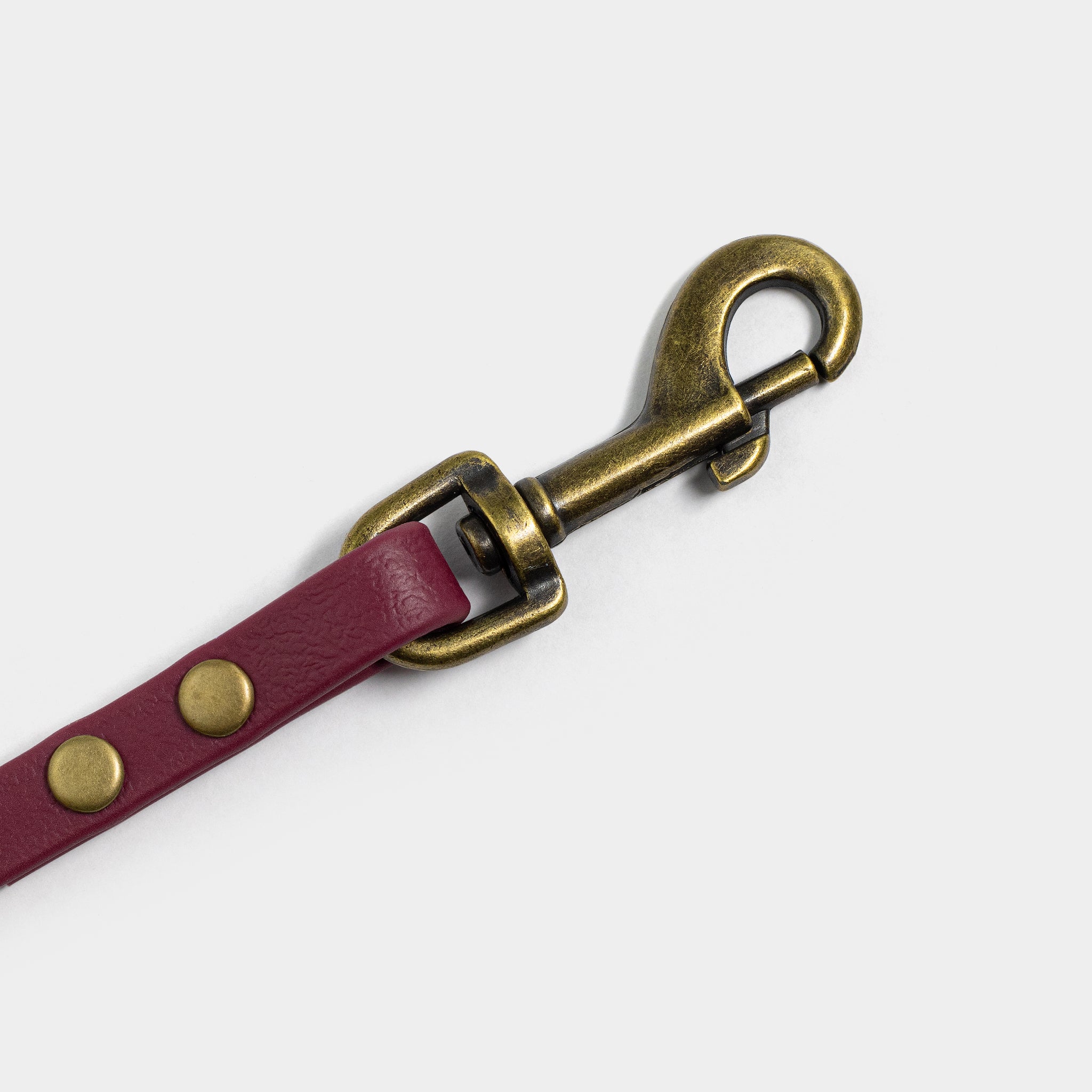 Karabiner an Hundeleine aus Biothane in weinrot von SUNNY BERLIN