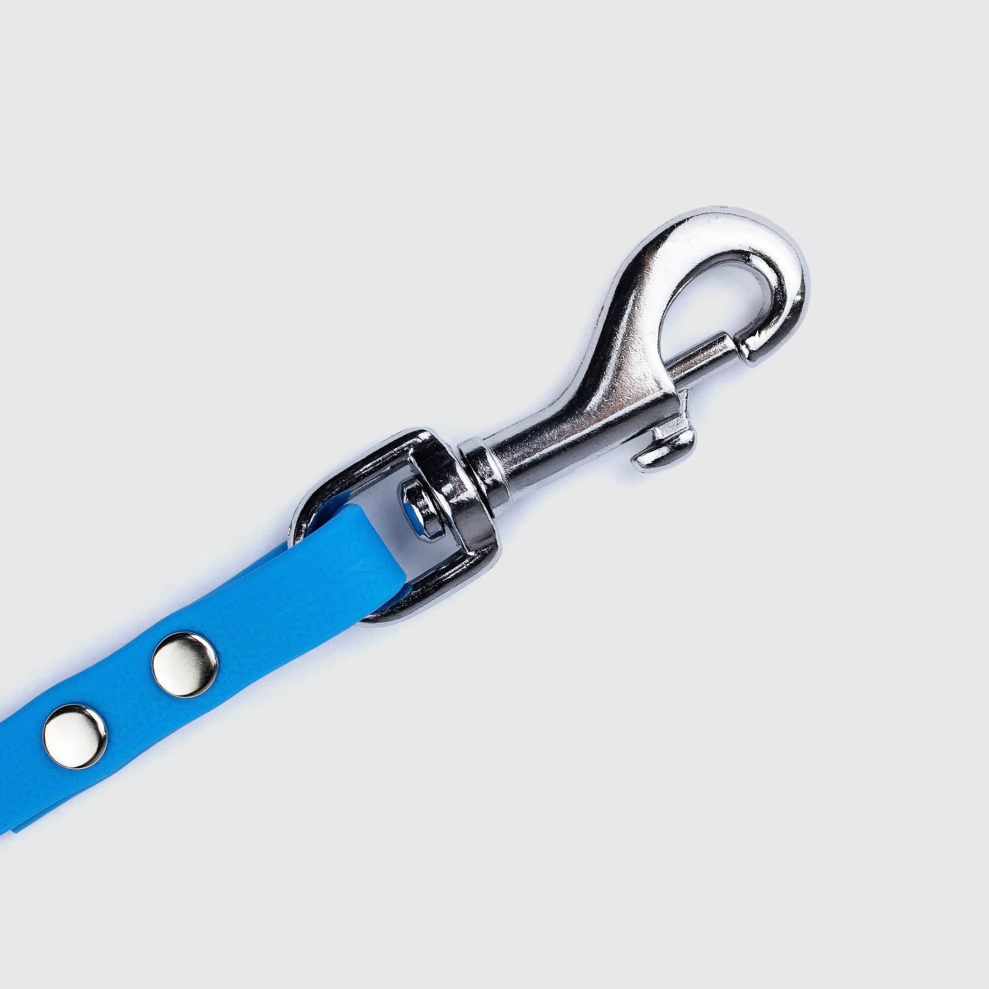 Silberner Karabiner an schmaler veganer Hundeleine in blau von SUNNY BERLIN