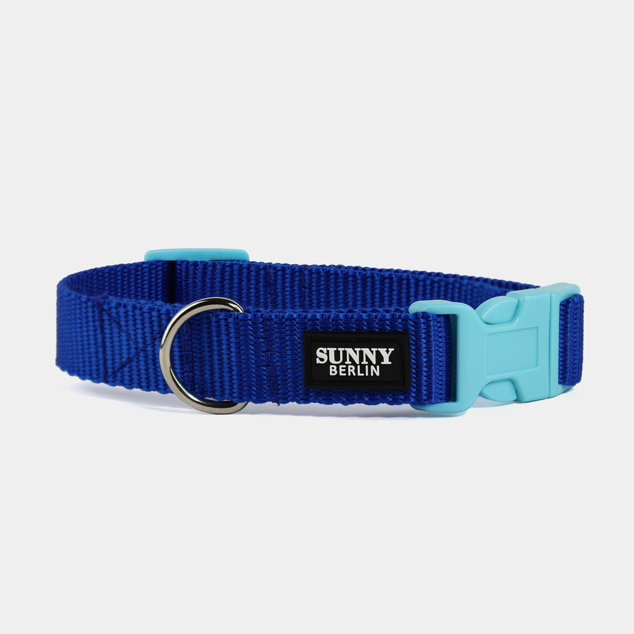 Blaues Hundehalsband aus Gurtband mit Klickverschluss in Hellblau – SUNNY BERLIN