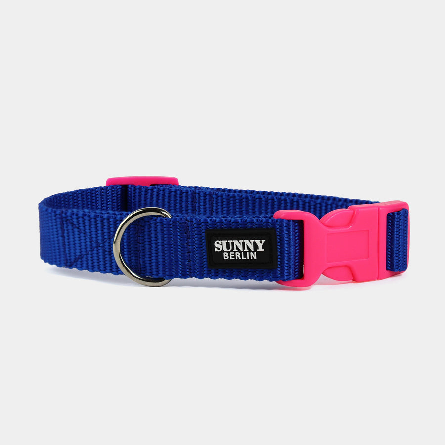 Hundehalsband Basic – Blau – Hellblau