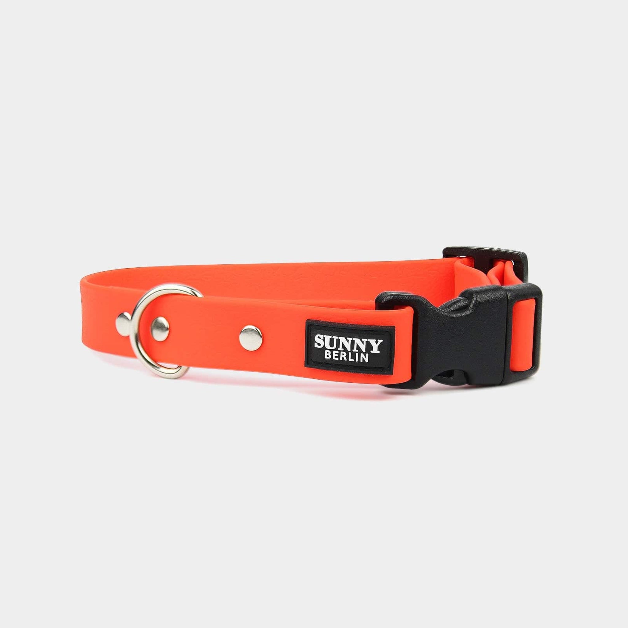 Veganes Hundehalsband in orange mit schwarzer Kunststoffschließe und silbernen Metallteilen von SUNNY BERLIN