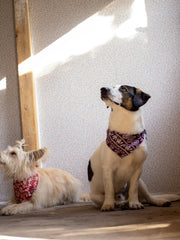 Zwei weiße Hundetragen Bandanas mit Muster von SUNNY BERLIN