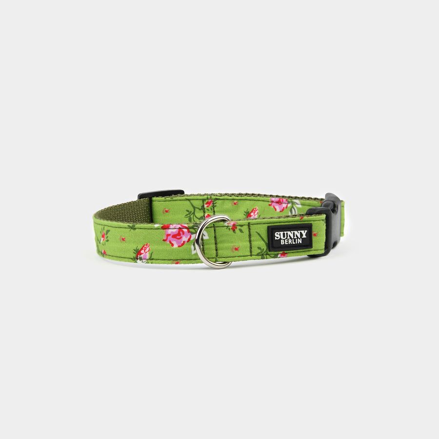 Grünes Hundehalsband mit Blumenmuster