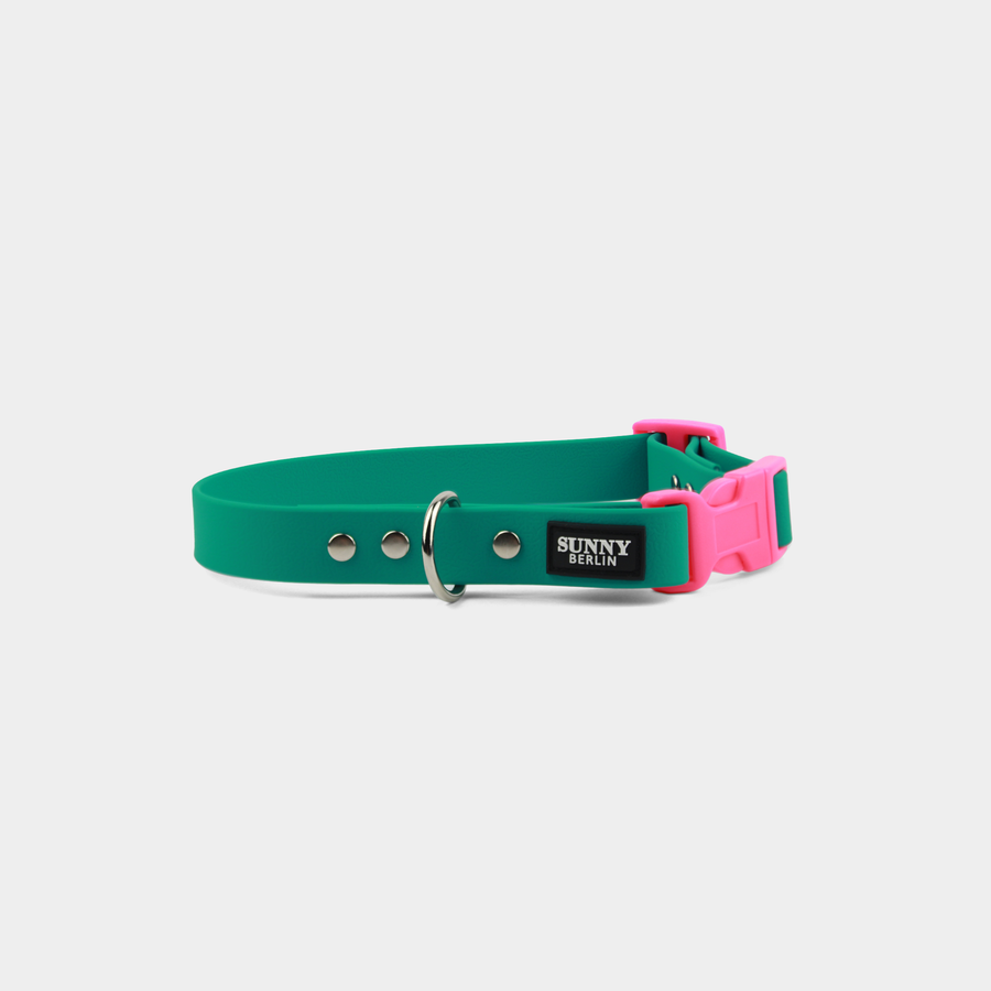 Veganes Hundehalsband in petrol mit  Kunststoffschließe in neonpink und silbernen Metallteilen von SUNNY BERLIN