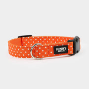 Hundehalsband in Orange mit Punktemuster in Weiss – SUNNY BERLIN
